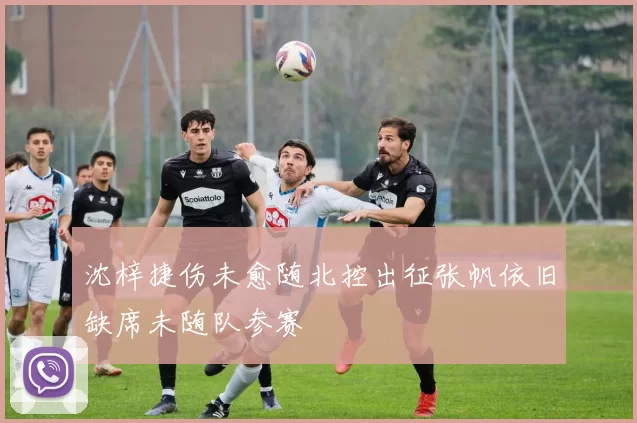 沈梓捷伤未愈随北控出征张帆依旧缺席未随队参赛